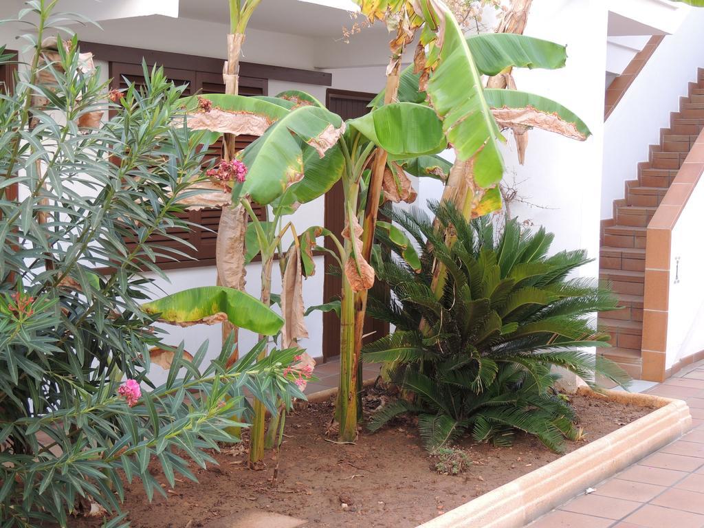 Apartamentos Sal Rossa Ibiza Kültér fotó